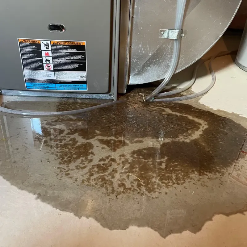 Appliance Leak Cleanup in Prescott, AR